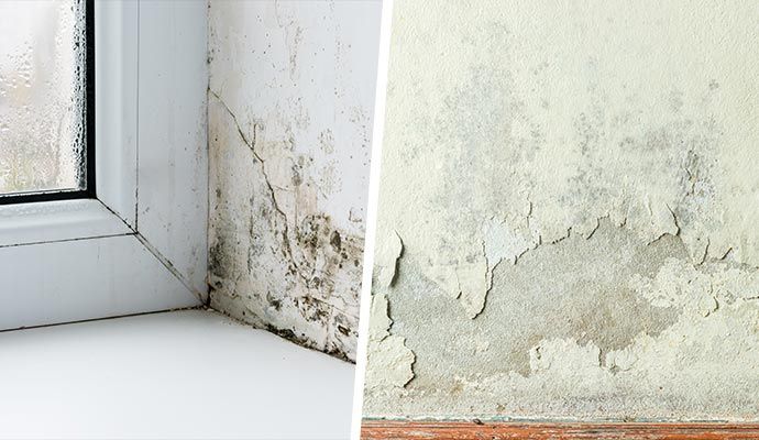 Collage of damp wall and peeling paint