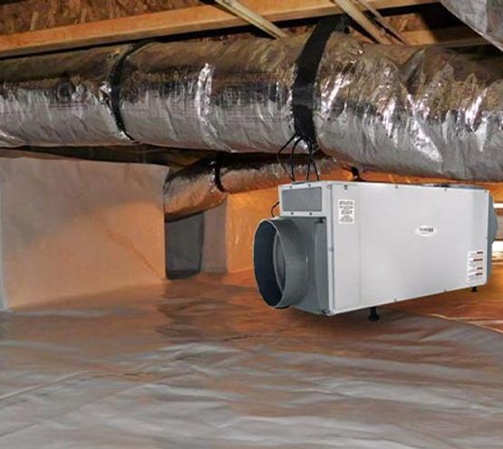 Installed dehumidification system for moisture control