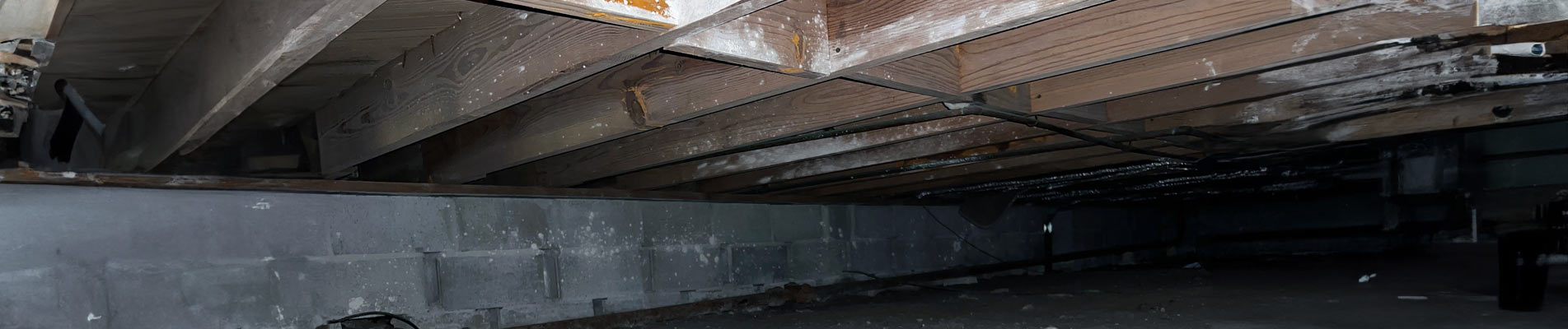 Banner of crawl space insulation service