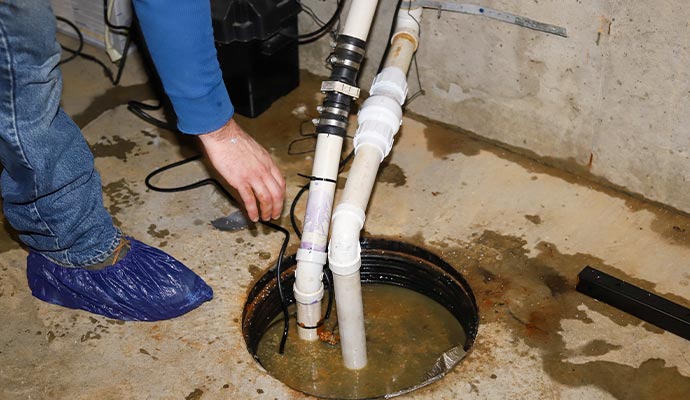Basement sump pump system inspection service