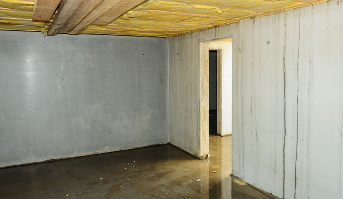 water in basement