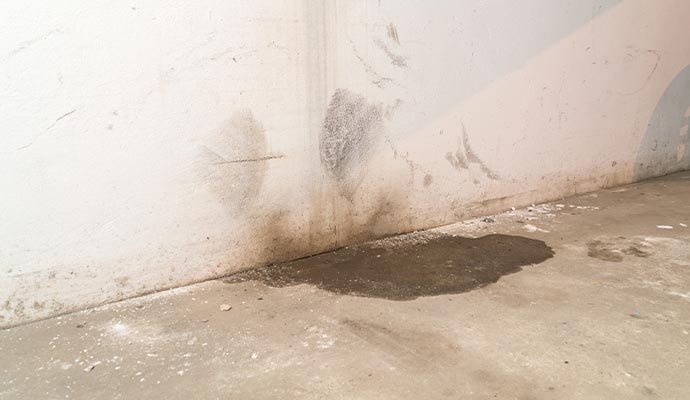 water leak damage in basement wall crack repair