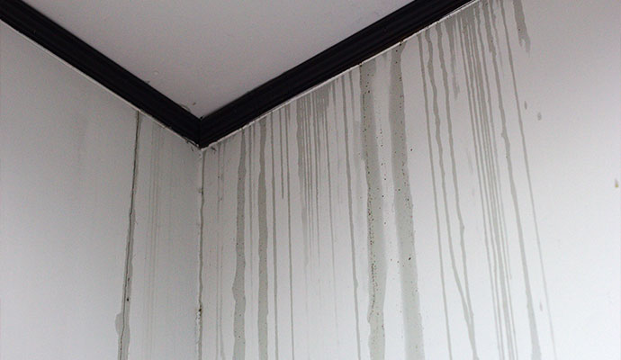 Water streaks running down interior wall